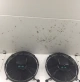 Mould cleaning widget