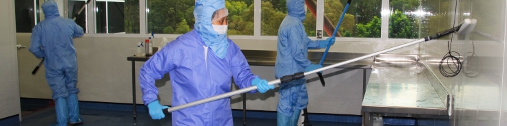 Cleanroom pre-validation cleaning