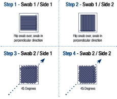 swab sampling step 2